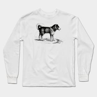 Husky Dog Scientific Drawing Long Sleeve T-Shirt